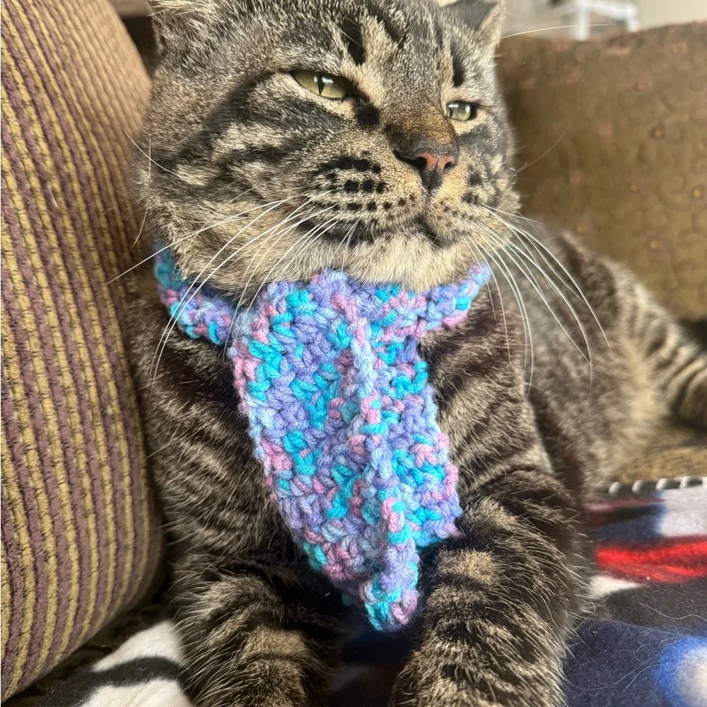 Cozy Blue and Purple Cat / Small Dog Scarf